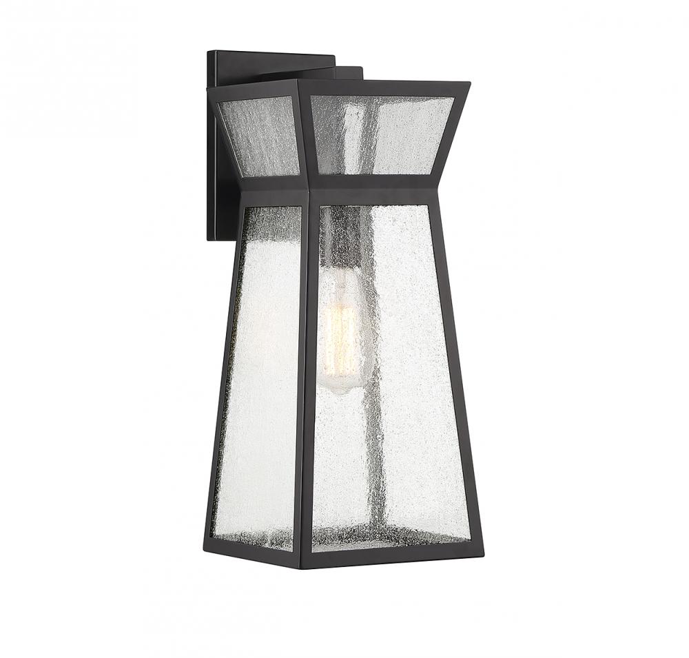 Millford 1-Light Outdoor Wall Lantern in Matte Black