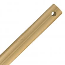 Savoy House DR-12-171 - 12" Downrod in Burnished Brass