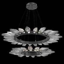 Hammerton CHB0050-2T-MB-CS-CA1-L1 - Rock Crystal Radial Ring Two Tier - 42/56-Matte Black