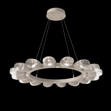 Hammerton CHB0079-36-BS-PC-CA1-L3 - Pebble 36" Ring (16 Small Glass)-Beige Silver-Pebble Clear