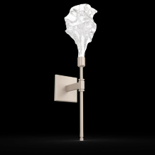 Hammerton IDB0059-21-BS-BC-L3 - Blossom Belvedere Sconce