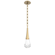 Hammerton LNB0078-01-GB-C-CH3-L3 - Raindrop Pendant with Chain