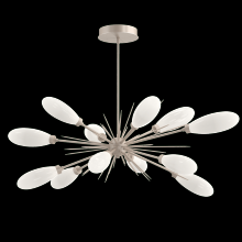 Hammerton PLB0071-0A-BS-WL-001-L3 - Fiori Oval Starburst Chandelier 50"