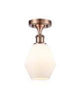 Innovations Lighting 516-1C-AC-G651-6 - Cindyrella - 1 Light - 6 inch - Antique Copper - Semi-Flush Mount