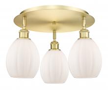 Innovations Lighting 516-3C-SG-G81 - Eaton - 3 Light - 17 inch - Satin Gold - Flush Mount