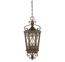 Outdoor Foyer/Hall Lanterns