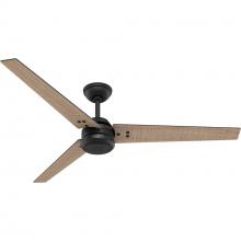 Hunter 52979 - Hunter 60 inch Cassius ENERGY STAR® Matte Black Damp Rated Ceiling Fan and Wall Control