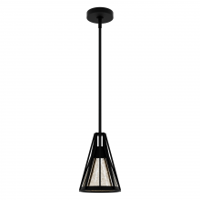 Hunter 19455 - Hunter Rafner Natural Black Iron with Mercury Glass Glass 1 Light Pendant Ceiling Light Fixture