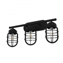 Hunter 19845 - Hunter Starklake Natural Black Iron 3 Light Medium Bathroom Vanity Wall Light Fixture