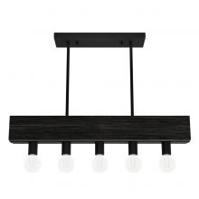 Hunter 13055 - Hunter Donelson Natural Black Iron and Dark Ash 5 Light Small Chandelier Ceiling Light Fixture