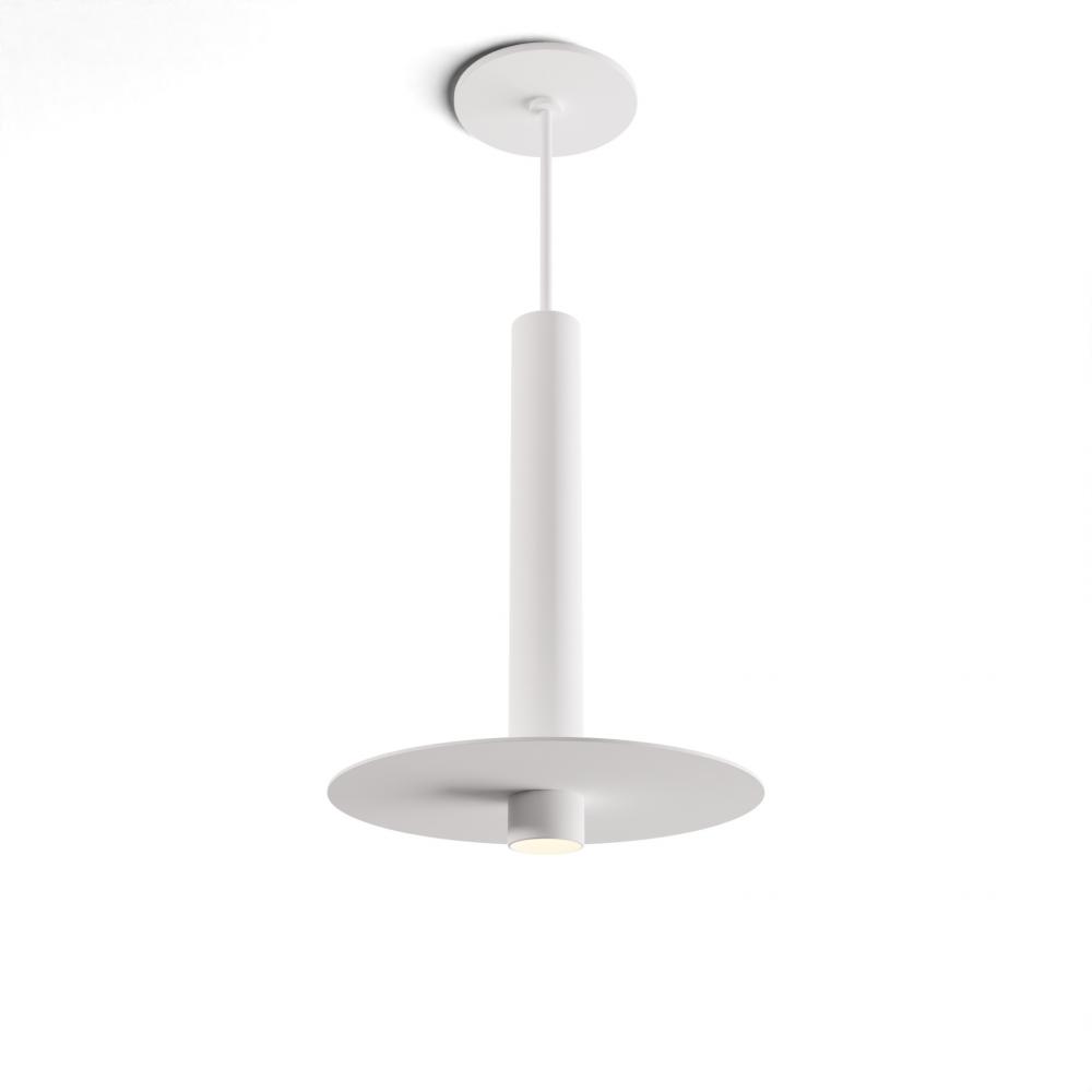 Combi Pendant 12" Single Unit Matte White with Matte White Canopy, 9" metal plate (White/Pai