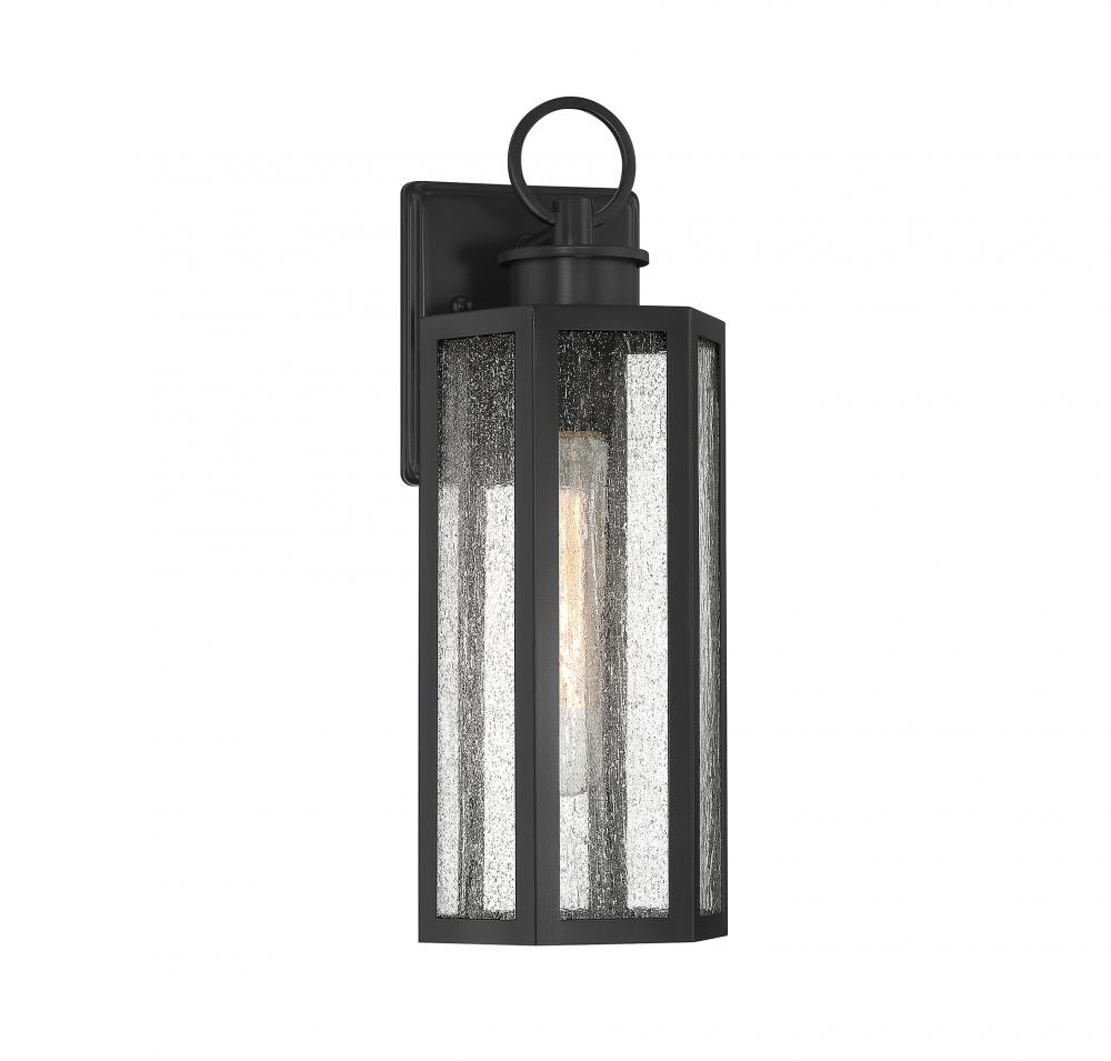 Hawthorne 1-Light Outdoor Wall Lantern in Black