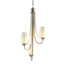 Hubbardton Forge 103033-SKT-84-GG0303 - Flora 3 Arm Chandelier