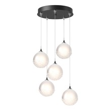 Hubbardton Forge 131131-SKT-LONG-89-FD0750 - Fritz Globe 5-Light Pendant