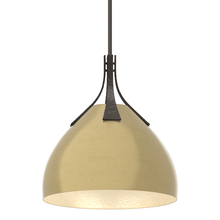 Hubbardton Forge 134502-SKT-MULT-14-86 - Summit Pendant