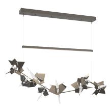 Hubbardton Forge 139813-LED-STND-07-20-CR - Belladonna LED Pendant