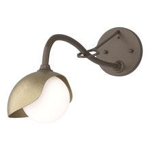 Hubbardton Forge 201376-SKT-05-84-GG0711 - Brooklyn 1-Light Single Shade Long-Arm Sconce