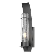 Hubbardton Forge 304210-SKT-80-II0159 - Sea Coast Small Outdoor Sconce