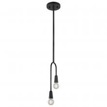 Nuvo 60/7828 - Isle; 2 Light Pendant; Candelabra Base; 60 Watt; Matte Black Finish