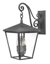 Hinkley 1435DZ - Large Wall Mount Lantern