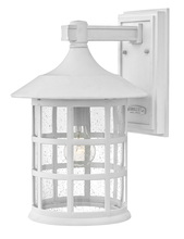 Hinkley 1805CW - Medium Wall Mount Lantern