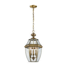 ELK Home 8603EH/89 - Thomas - Ashford 12'' Wide 3-Light Outdoor Pendant - Antique Brass