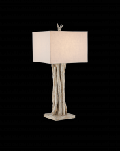 Currey 6000-0919 - Driftwood Whitewash Table Lamp