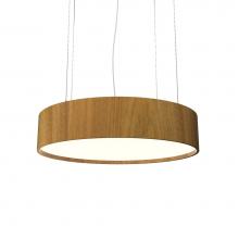 Accord Lighting 231.09 - Cylindrical Accord Pendant 231