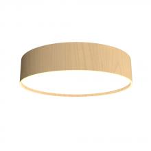 Accord Lighting 529LED.34 - Cylindrical Accord Ceiling Mounted 529 LED